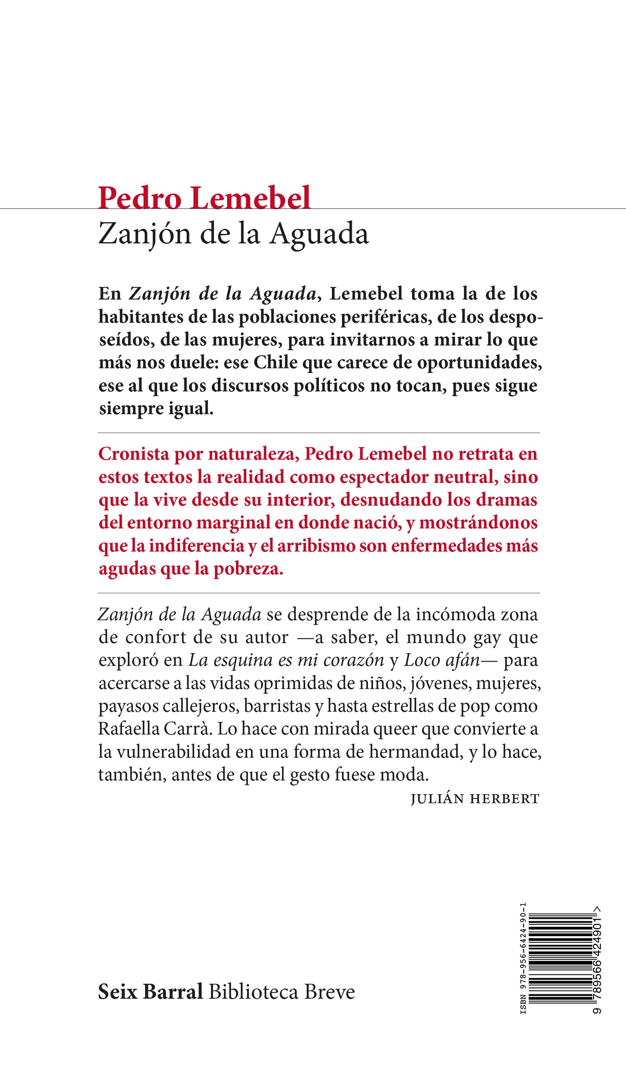 Miniatura contraportada Zanjón de la Aguada