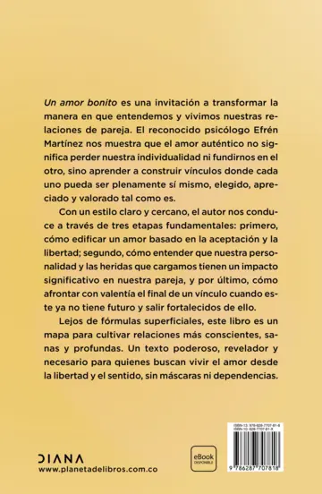 Contraportada Un amor bonito