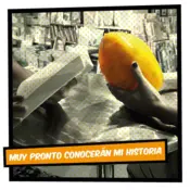 Portada República de La Papaya 1