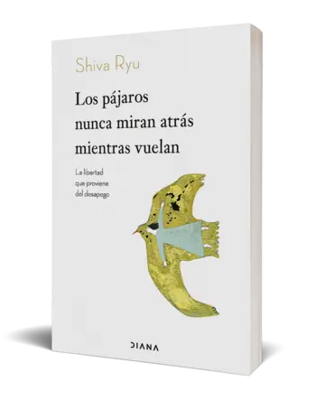 Portada Los pájaros nunca miran atrás mientras vuelan