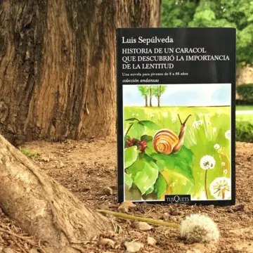 Imagen extra Historia de un caracol que descubrió la importancia de la lentitud 0