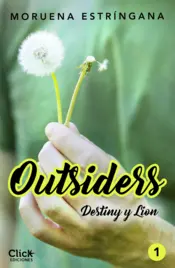Portada Outsiders 1. Destiny y Lion
