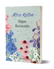 Miniatura portada 3d Sigue lloviendo