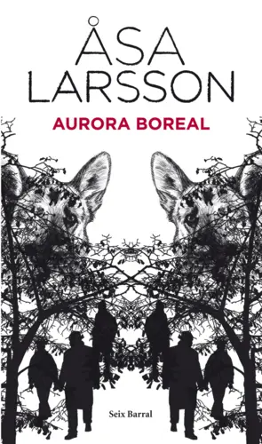 Portada Aurora boreal