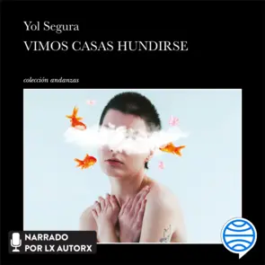 Portada Vimos casas hundirse