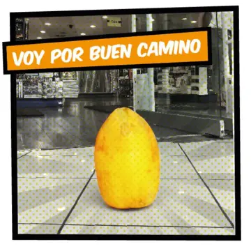 Imagen extra República de La Papaya 3