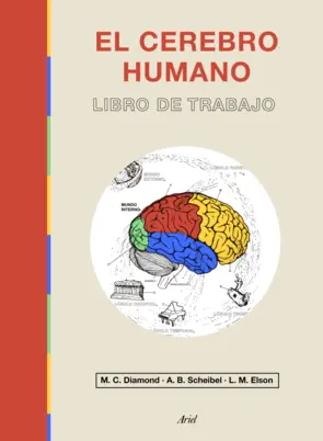 Portada El cerebro humano