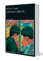 Miniatura portada 3d Ciertos chicos