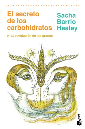 Portada El secreto de los carbohidratos