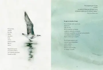 Imagen extra Si el mar no regresa 1