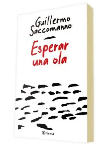 Portada Esperar una ola