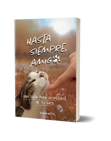 Portada Hasta siempre, amigo gato