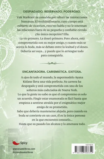 Contraportada Pecados 5. Rey de la envidia