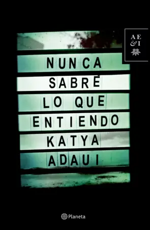 Portada Nunca sabré lo que entiendo