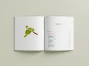 Portada Hoy comemos con Isi 0