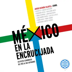 Portada México en la encrucijada