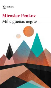 Portada Mil cigüeñas negras