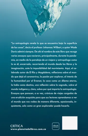 Contraportada Bajo la superficie de las cosas