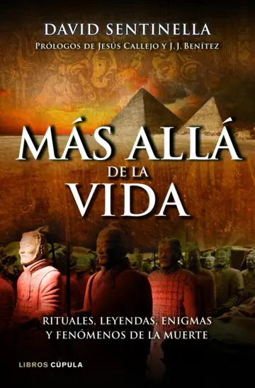 Contraportada Más allá de la vida