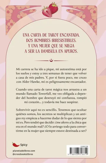 Contraportada Los amantes