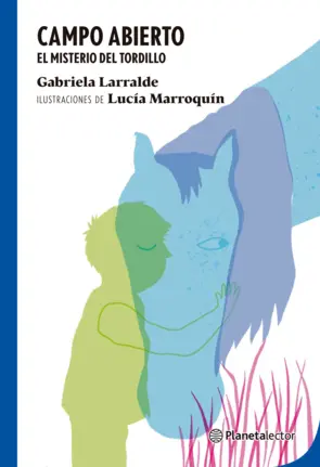 Portada Campo abierto. El misterio del Tordillo