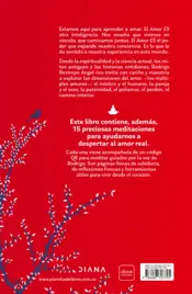 Miniatura contraportada Amor Es