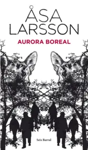 Portada Aurora boreal