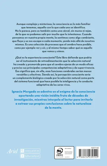 Contraportada El espejo de la imaginación